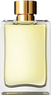 Personalized Perfume – ThePerfumebar